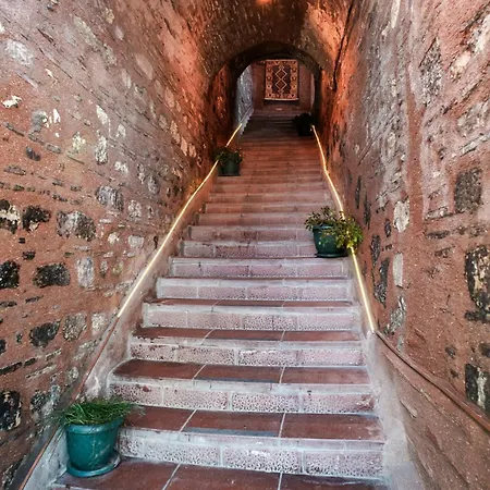 干杯旅馆 旅馆 伊斯坦布尔