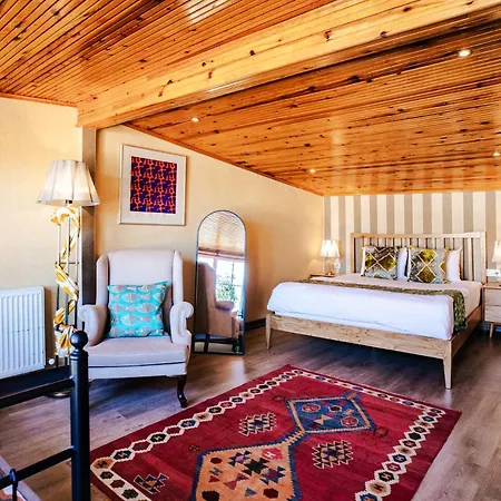 干杯旅馆 伊斯坦布尔